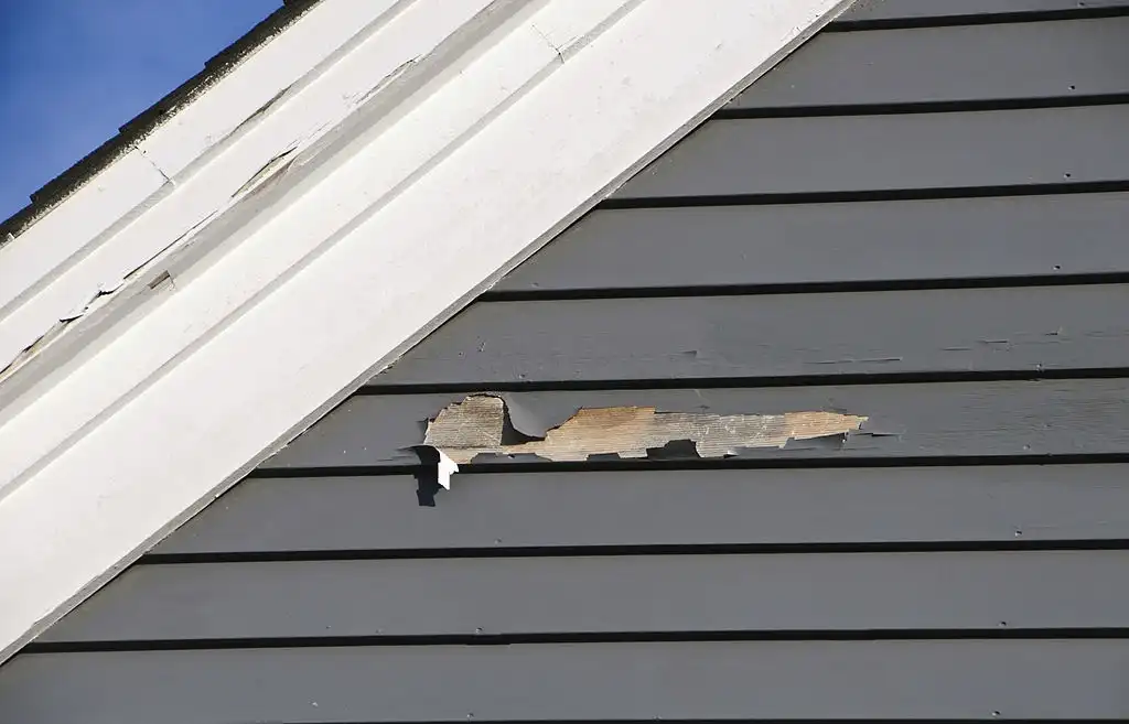 peeling paint roofline baton rouge roof inspection
