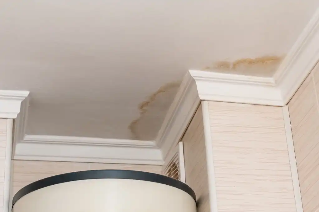 storm roof leak baton rouge water stain