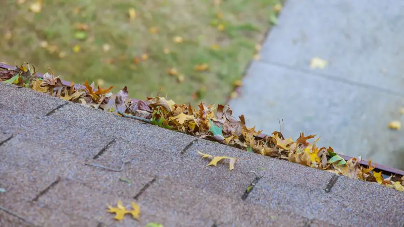 how to maintain roof cleaning out leaves in gutters