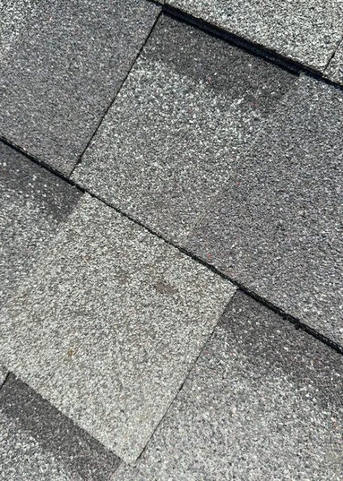 hail damage mark on shingle roof needs inspection